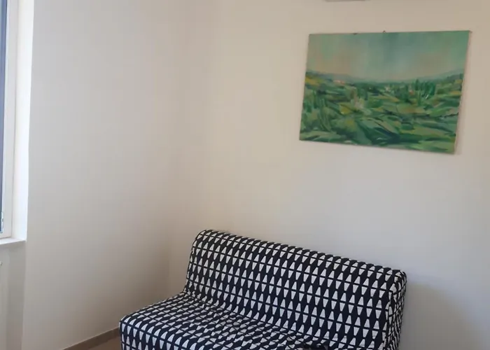 La Mimosa Di Andrea La Spezia